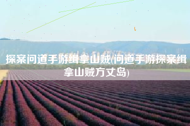 探案问道手游缉拿山贼(问道手游探案缉拿山贼方丈岛)