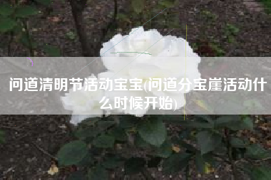 问道清明节活动宝宝(问道分宝崖活动什么时候开始)