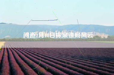 问道2月18日探案镖局风云