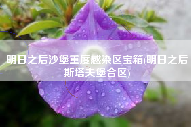 明日之后沙堡重度感染区宝箱(明日之后斯塔夫堡合区)