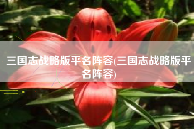 三国志战略版平名阵容(三国志战略版平名阵容)