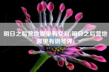 明日之后营地哪里有交易(明日之后营地哪里有钢琴弹)