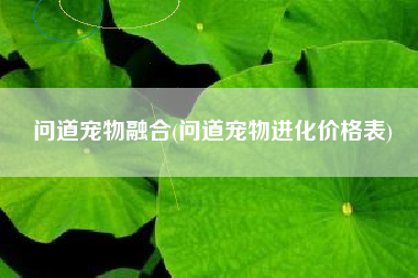 问道宠物融合(问道宠物进化价格表)