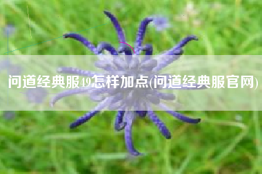 问道经典服49怎样加点(问道经典服官网)
