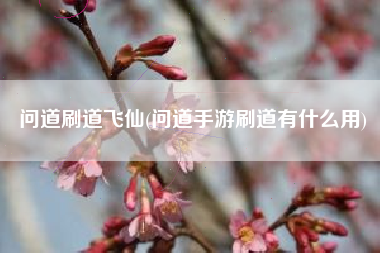 问道刷道飞仙(问道手游刷道有什么用)