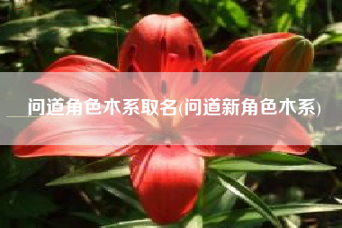 问道角色木系取名(问道新角色木系)