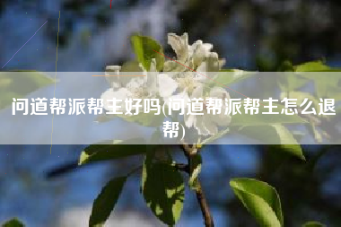 问道帮派帮主好吗(问道帮派帮主怎么退帮)