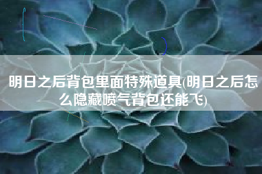 明日之后背包里面特殊道具(明日之后怎么隐藏喷气背包还能飞)