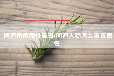 问道角色属性重置(问道人物怎么重置属性)