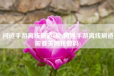 问道手游离线刷道0轮(问道手游离线刷道需要关闭托管吗)