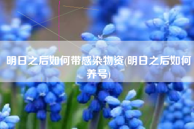 明日之后如何带感染物资(明日之后如何养号)