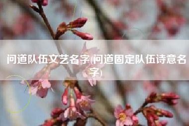 问道队伍文艺名字(问道固定队伍诗意名字)