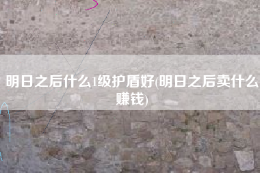 明日之后什么1级护盾好(明日之后卖什么赚钱)
