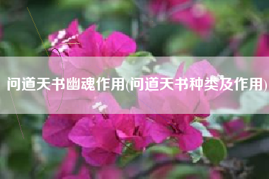 问道天书幽魂作用(问道天书种类及作用)