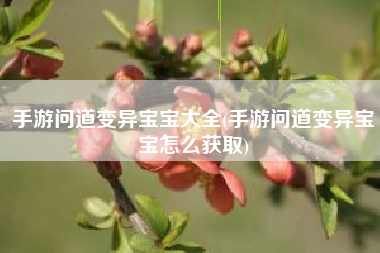 手游问道变异宝宝大全(手游问道变异宝宝怎么获取)