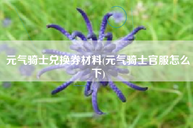 元气骑士兑换券材料(元气骑士官服怎么下)