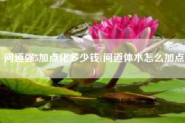 问道强5加点化多少钱(问道体木怎么加点)