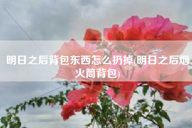 明日之后背包东西怎么扔掉(明日之后烟火筒背包)