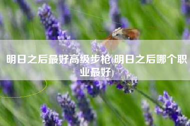 明日之后最好高级步枪(明日之后哪个职业最好)