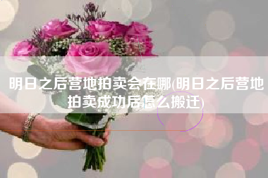 明日之后营地拍卖会在哪(明日之后营地拍卖成功后怎么搬迁)