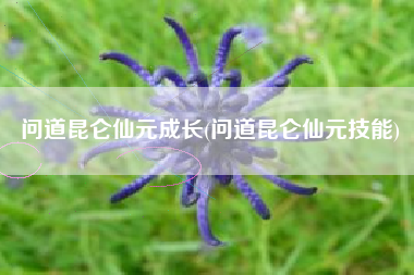 问道昆仑仙元成长(问道昆仑仙元技能)