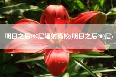 明日之后197层辐射高校(明日之后200层)