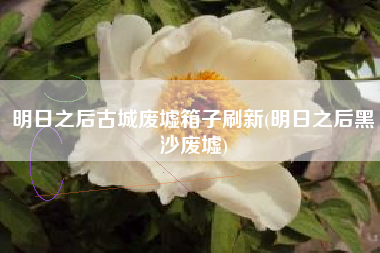 明日之后古城废墟箱子刷新(明日之后黑沙废墟)