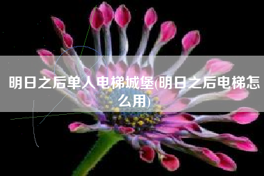 明日之后单人电梯城堡(明日之后电梯怎么用)