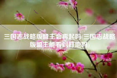 三国志战略版盟主会再起吗(三国志战略版盟主能看到打地吗)