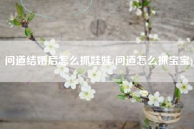 问道结婚后怎么抓娃娃(问道怎么抓宝宝)
