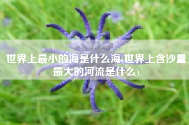 世界上最小的海是什么海(世界上含沙量最大的河流是什么)