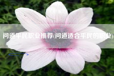 问道平民职业推荐(问道适合平民的职业)