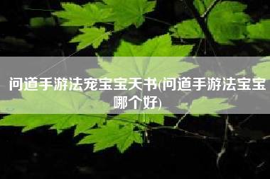 问道手游法宠宝宝天书(问道手游法宝宝哪个好)
