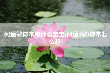 问道敏体木带什么宝宝(问道3敏1体木怎么样)