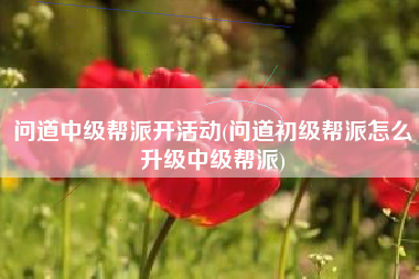 问道中级帮派开活动(问道初级帮派怎么升级中级帮派)