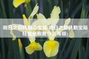 明日之后执勤点宝箱(明日之后执勤宝箱经验是根据什么等级)