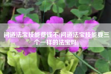 问道法宝技能费钱不(问道法宝技能要三个一样的法宝吗)