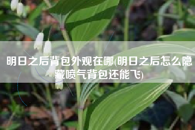 明日之后背包外观在哪(明日之后怎么隐藏喷气背包还能飞)