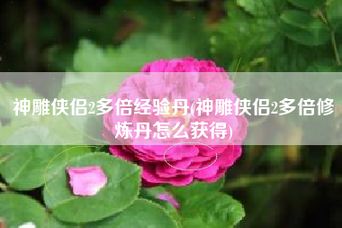 神雕侠侣2多倍经验丹(神雕侠侣2多倍修炼丹怎么获得)