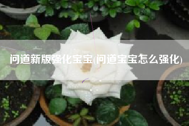 问道新版强化宝宝(问道宝宝怎么强化)