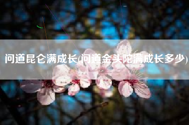问道昆仑满成长(问道金头陀满成长多少)