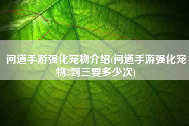 问道手游强化宠物介绍(问道手游强化宠物3到三要多少次)