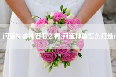 问道神兽神石怎么得(问道神兽怎么打造)