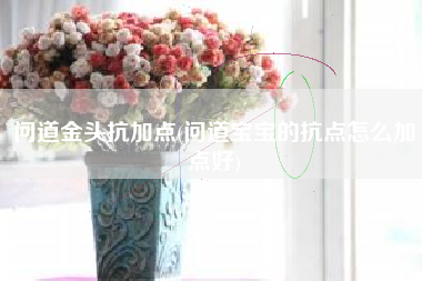 问道金头抗加点(问道宝宝的抗点怎么加点好)