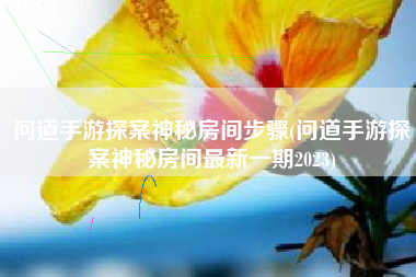 问道手游探案神秘房间步骤(问道手游探案神秘房间最新一期2023)