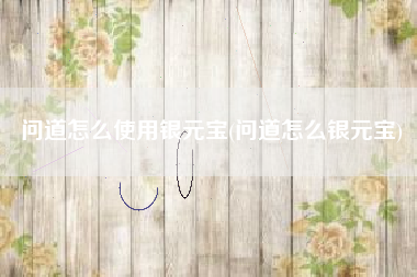 问道怎么使用银元宝(问道怎么银元宝)