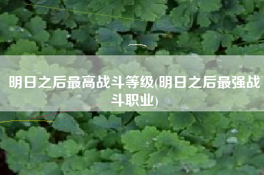 明日之后最高战斗等级(明日之后最强战斗职业)