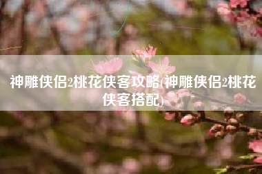 神雕侠侣2桃花侠客攻略(神雕侠侣2桃花侠客搭配)