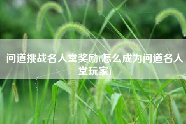 问道挑战名人堂奖励(怎么成为问道名人堂玩家)