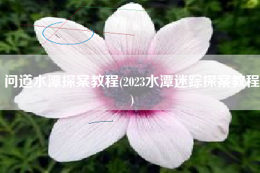 问道水潭探案教程(2023水潭迷踪探案教程)